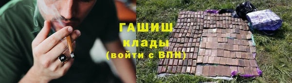 мет Алексин