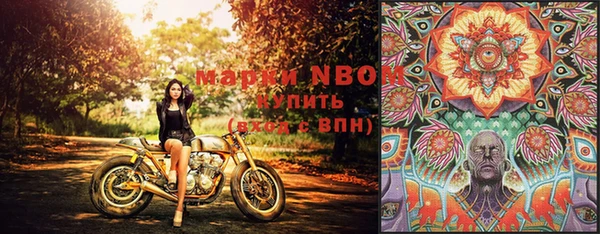 эйфоретик Алзамай