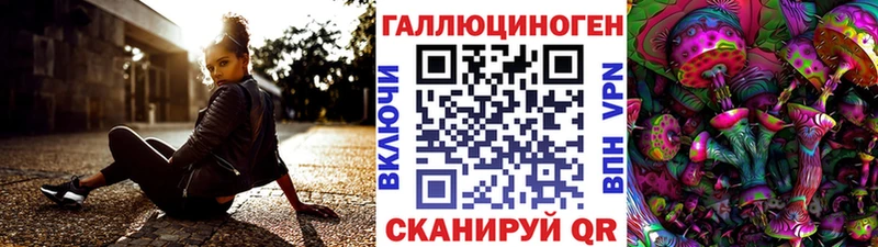 Купить где  Астрахань  Псилоцибиновые грибы Psilocybine cubensis 