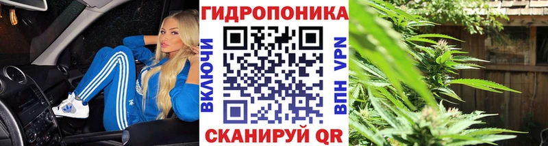 Купить  Астрахань  Бошки марихуана Bruce Banner 